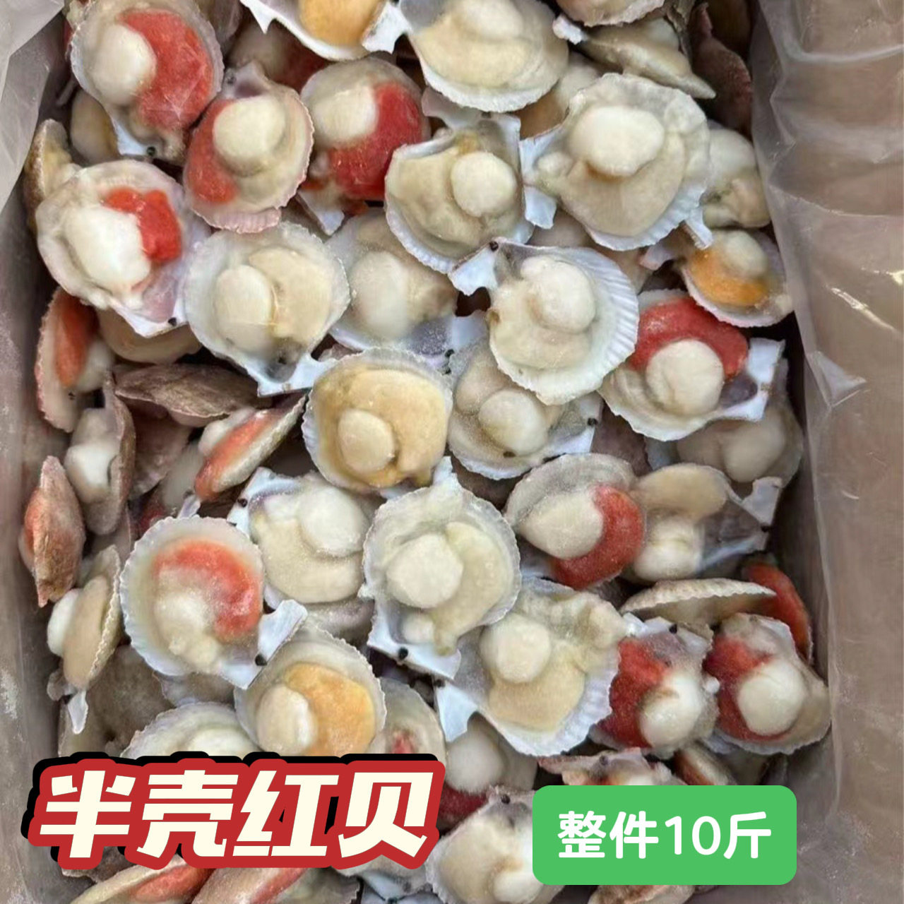 半壳红贝冷冻红贝商用批发食材当季半壳贝烧烤捞汁小食材摆摊