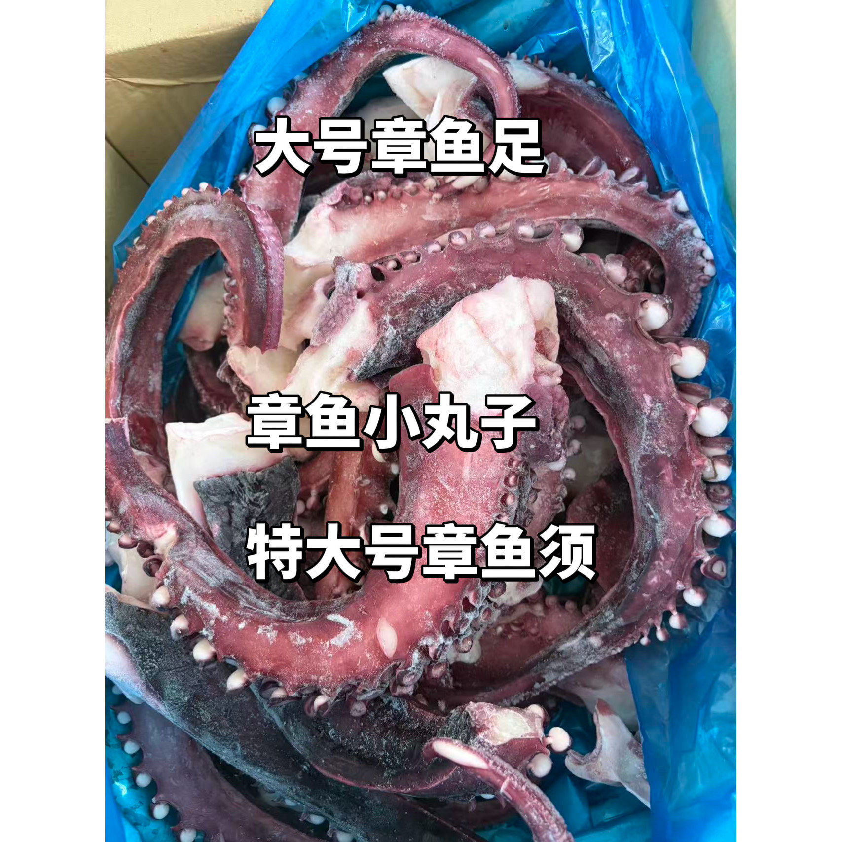 新鲜冷冻大章鱼须鱿鱼须脆口大章鱼足商用烧烤刺身章鱼小丸子食材