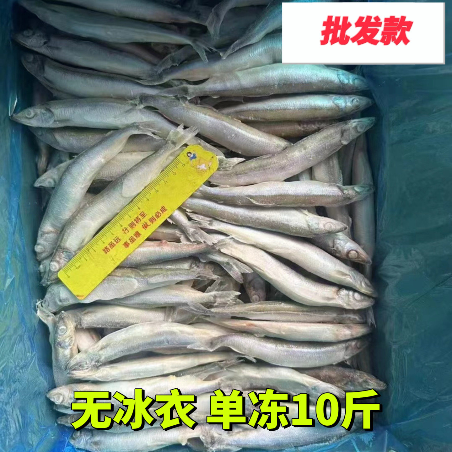 7L满籽母体多春鱼新鲜特大多籽鱼冷冻海鲜海捕水产烧烤食材批发