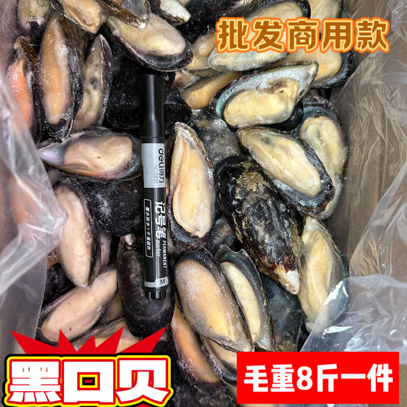 半壳青口贝鲜冻半壳黑口贝鲜冻半壳海虹饭店批发商用烧烤海鲜食材