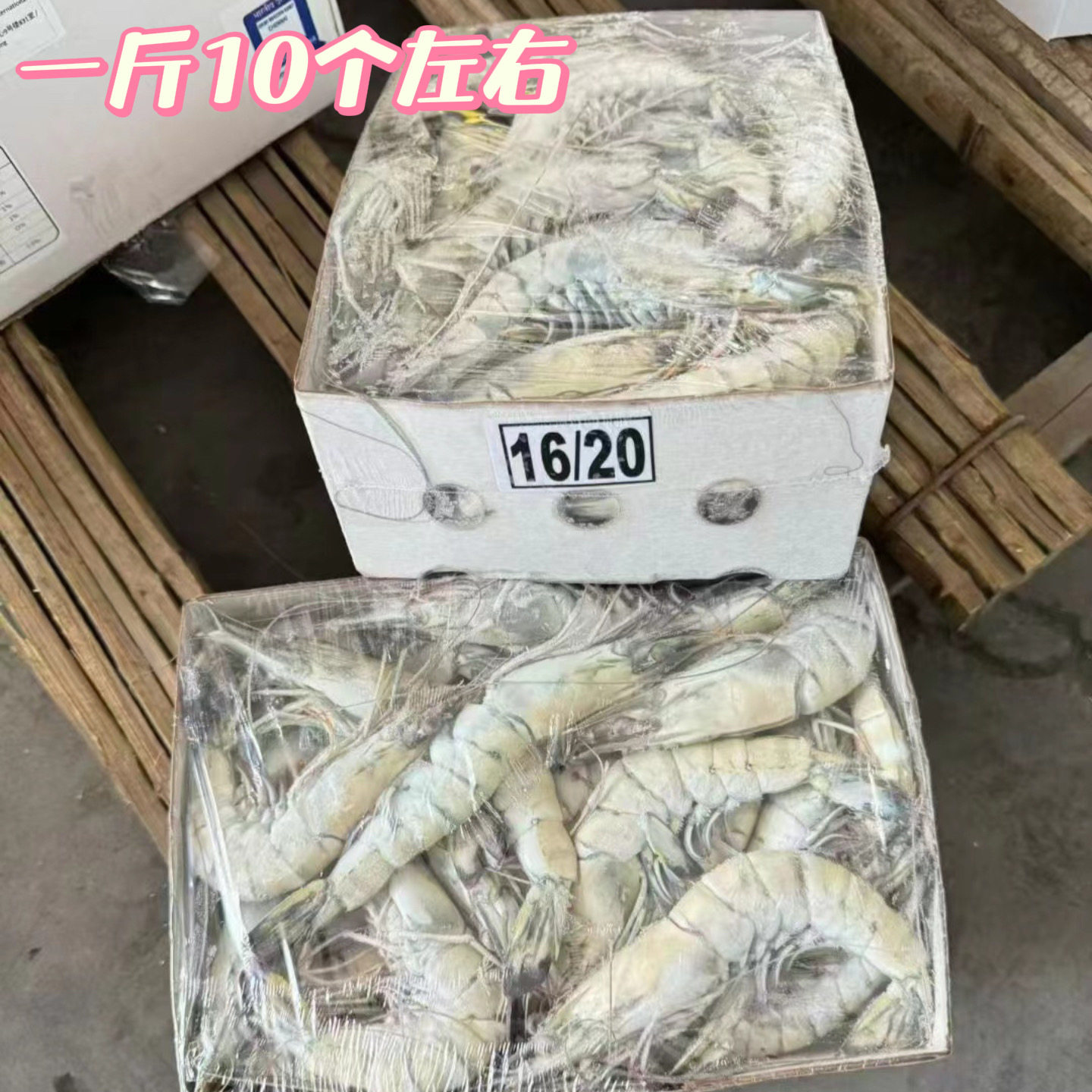 大个活冻无冰衣黑虎虾鲜活冷冻黑虎虾竹节虾斑节虾老虎虾三斤装