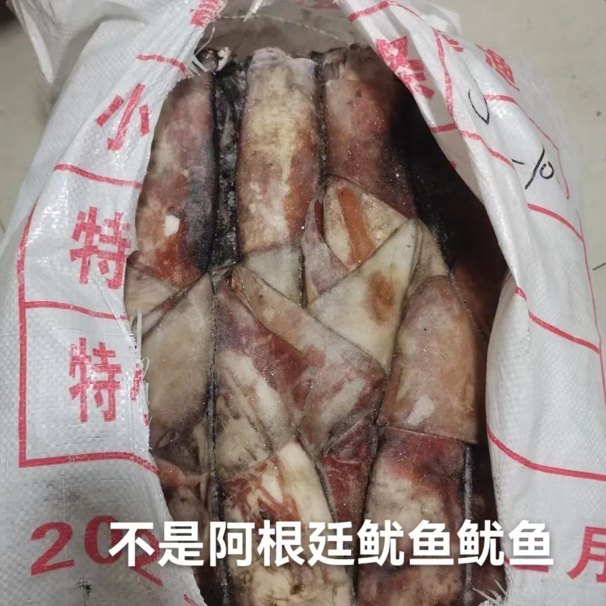 【纯天然】整盘大鱿鱼2斤鲜活秘鲁深海捕野生原装原条鱿鱼