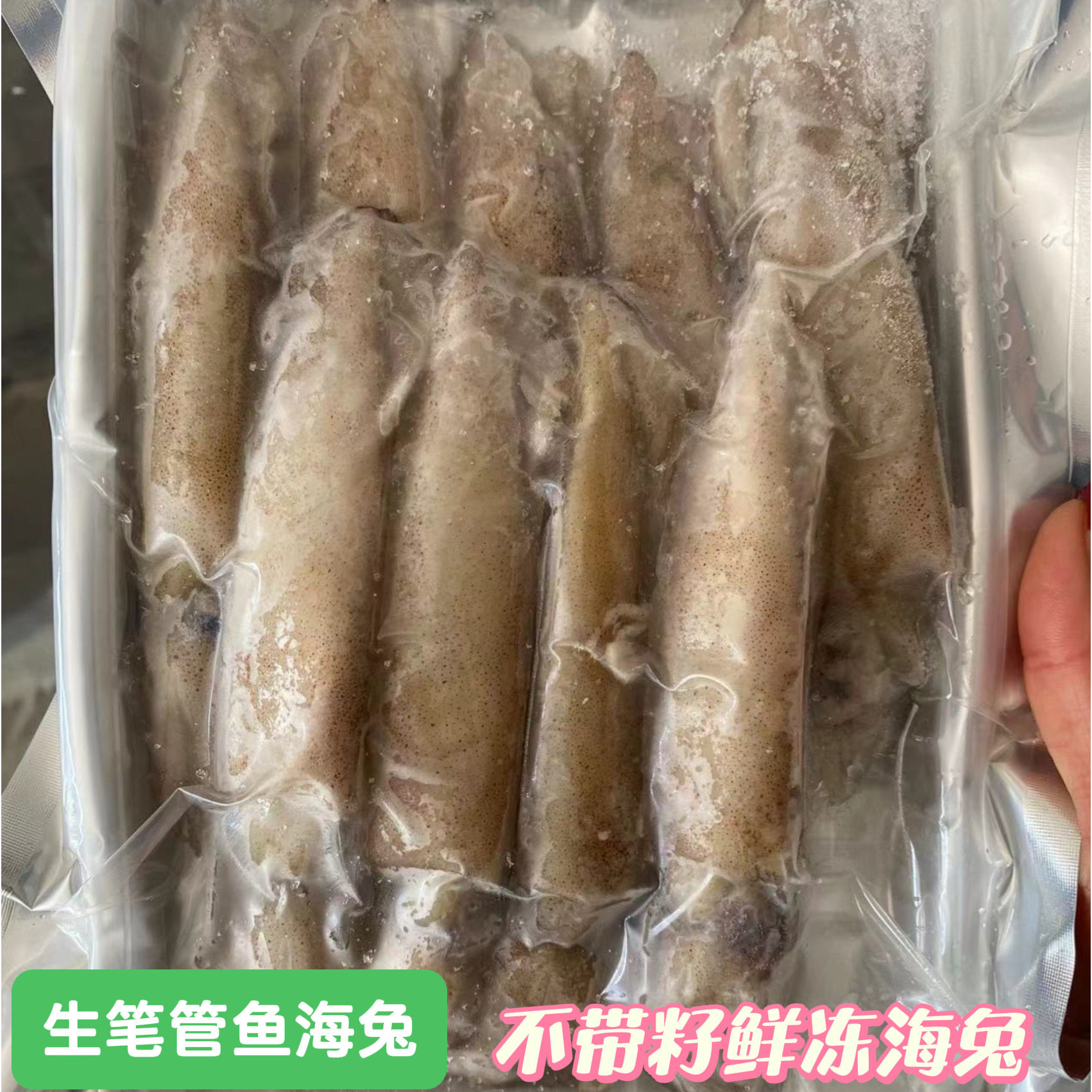 野生海捕笔管鱼全籽鲜冻海兔满籽籽乌不带籽海兔天然籽不带籽商用