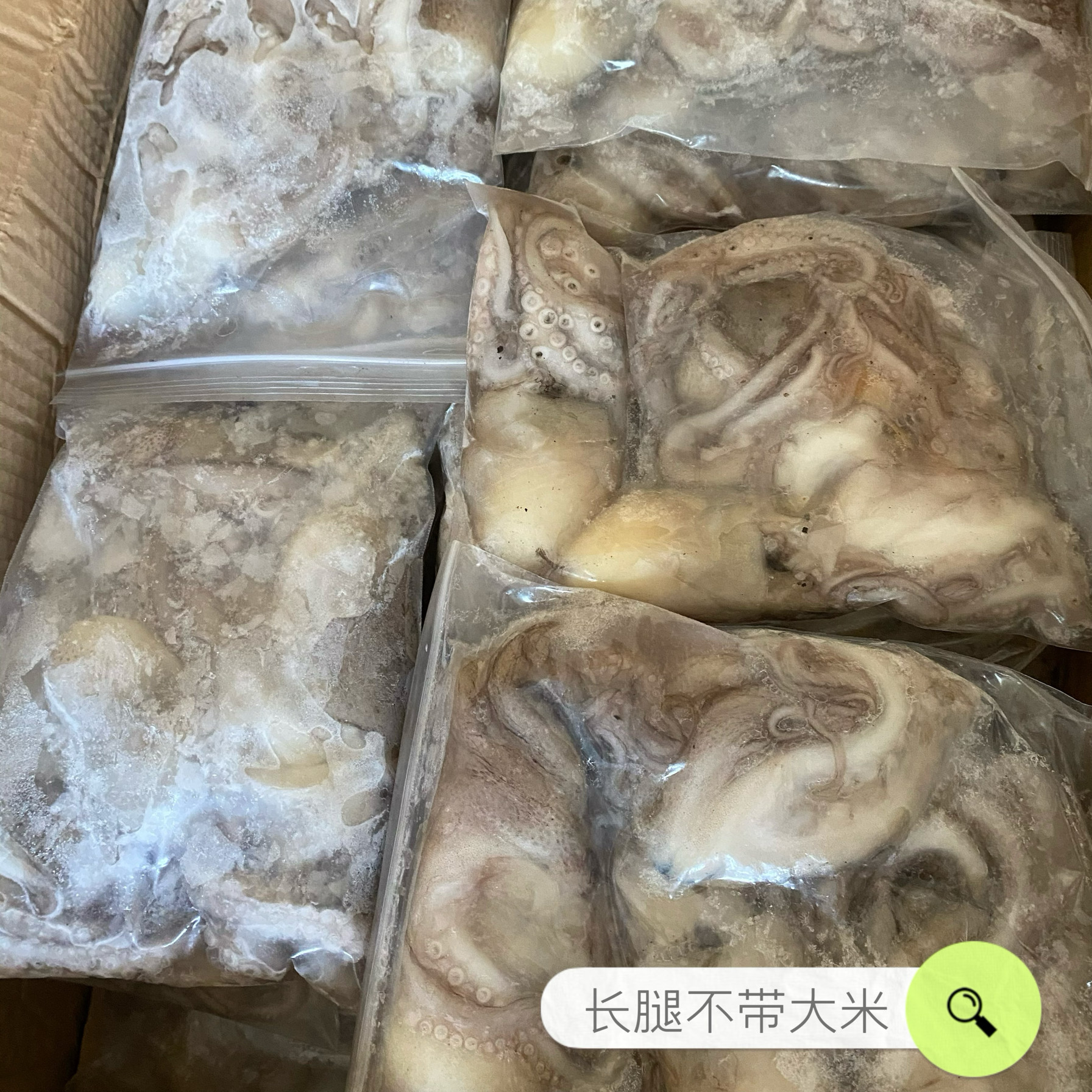 冷冻八爪鱼海鲜水产长腿八爪鱼大章鱼长梢八带鱼生鲜海鱼爆头包邮