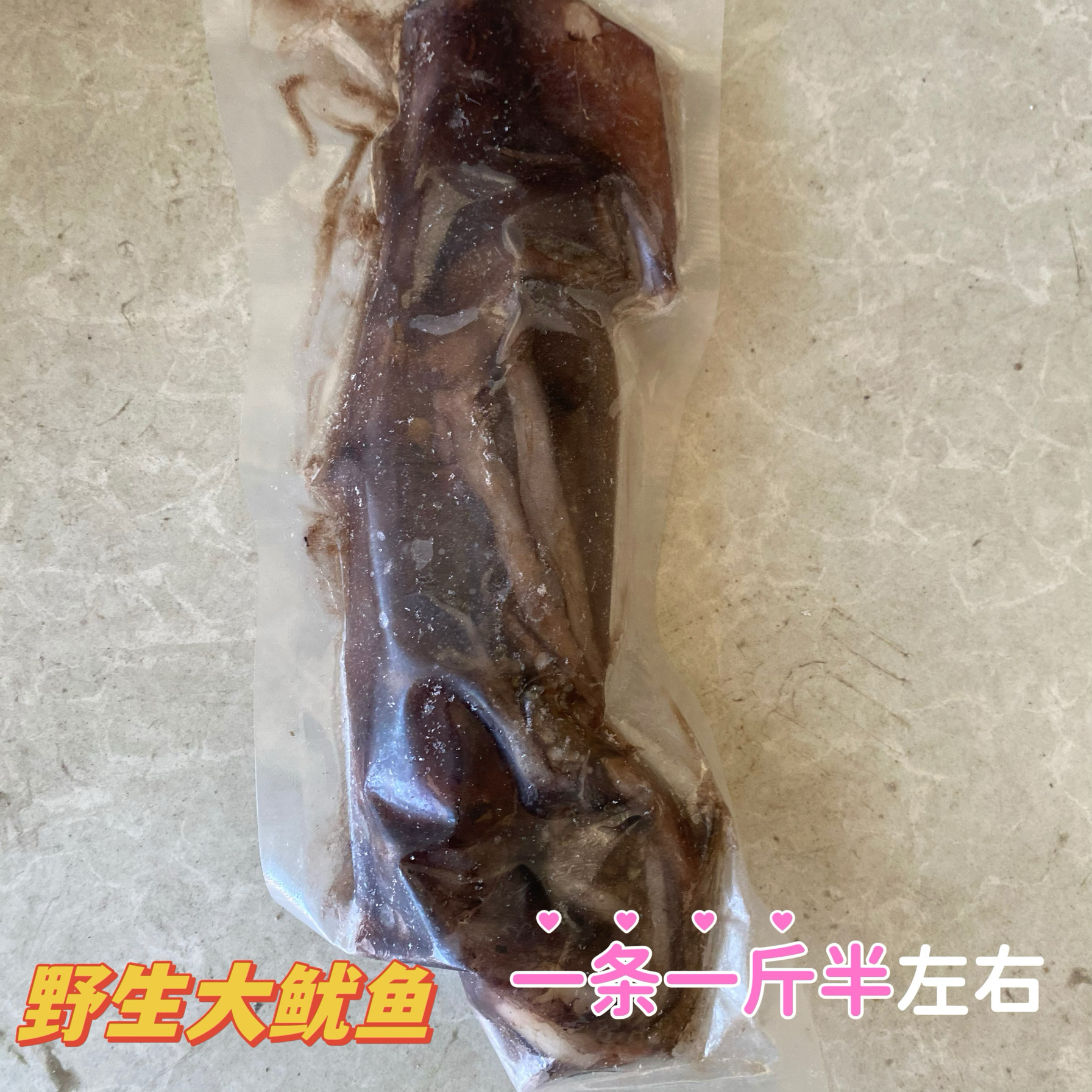 真空单冻特大鱿鱼野生大鱿鱼