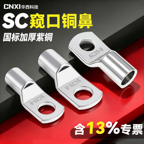 华西国标SC窥口铜鼻子紫铜加厚