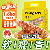 东北农嫂花糯玉米1.6kg约8根软糯香低脂早餐出口品质吉林原产D