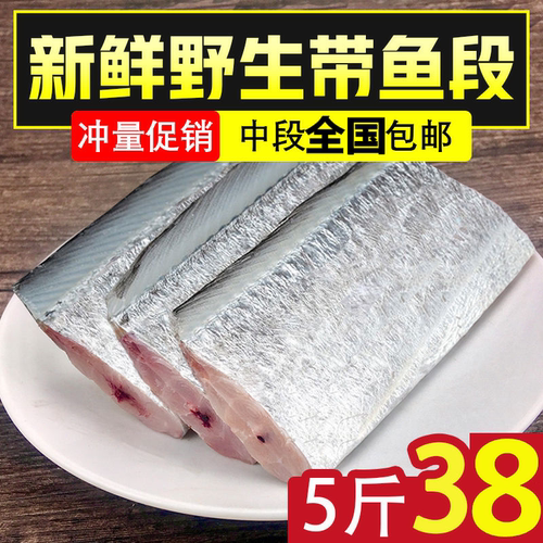 5斤东海带鱼新鲜冷冻带鱼刀鱼舟山带鱼中段深海鲜活
