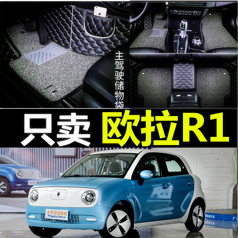2019款长城欧拉r1脚垫电动汽车