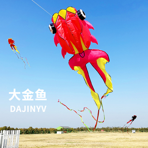潍坊风筝 高档大型玲珑大金鱼风筝 成人初学者立体风筝 好飞易飞