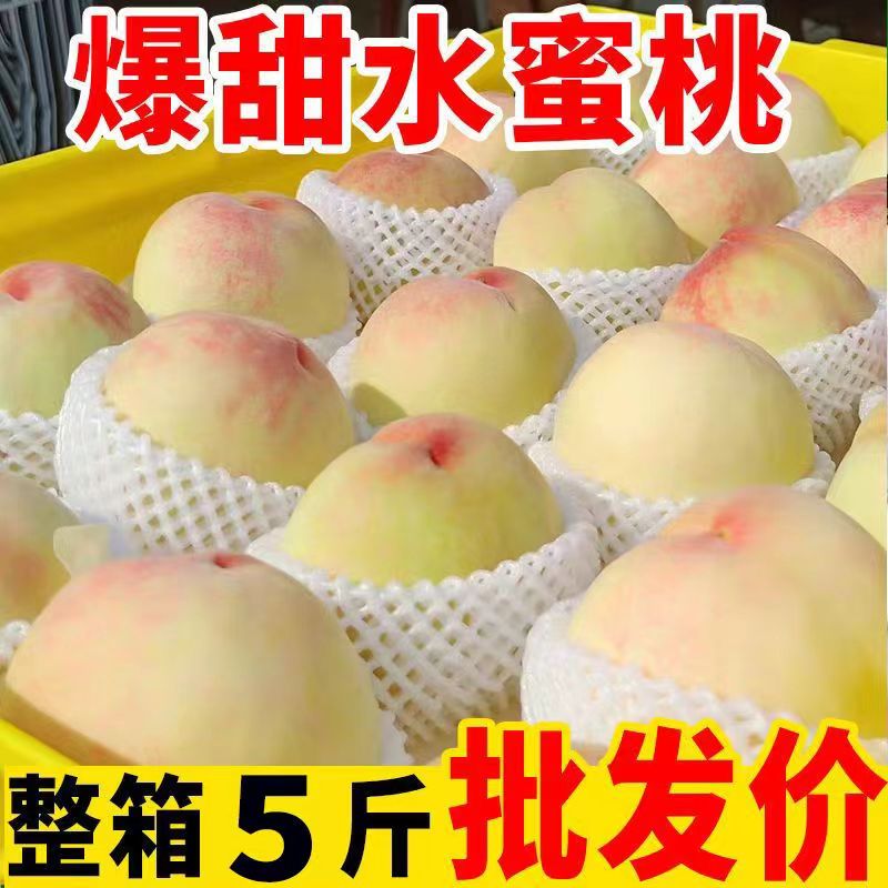 新鲜当季时令特大水果爆甜新沂踢球山水蜜桃子软桃鲜桃白凤礼盒装