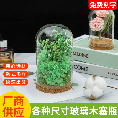 永生花软木塞玻璃罩保存瓶玫瑰花软透明收纳展示盒材料摆件ky桌面