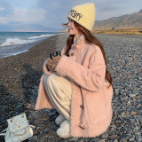 【好数据】现货加厚羊羔毛外套235-2438-P195-控288，女装皮草，金十上
