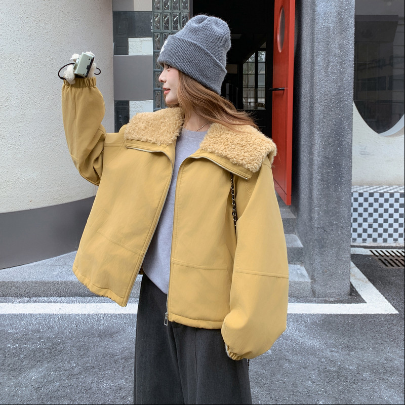 新款现货羊羔毛大翻领夹棉外套235-2562-P195-控288,女装棉衣/棉服,金十上