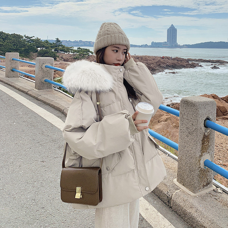 新增色短款大毛领棉衣235-M602P165K248，女装棉衣/棉服，金十上