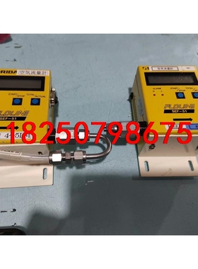 FLOLINE SEF-51气体流量计 流量10SLM 日本议价