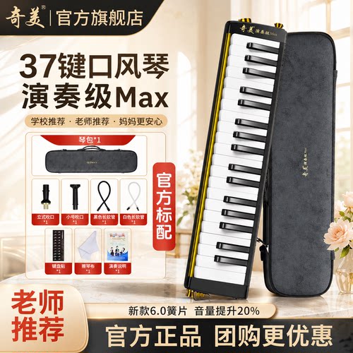 老师推荐音乐课口风琴顺丰包邮