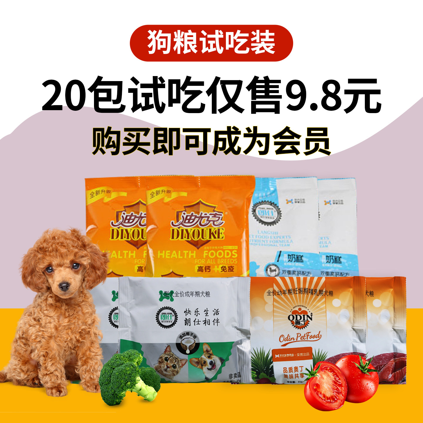 奥丁迪尤克朗仕小型犬试用装贵宾图片