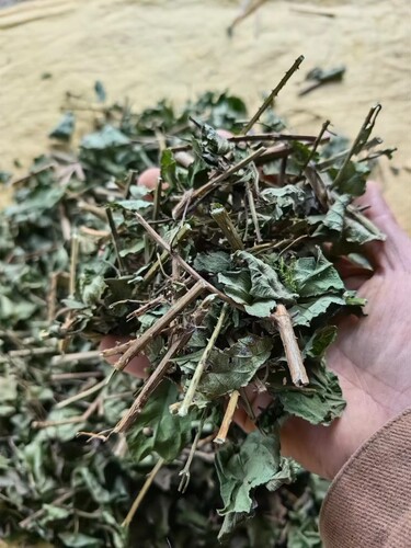 2斤新晒干五色花养龟 马缨丹中草药 五色梅宝宝皮肤洗澡 500g包邮