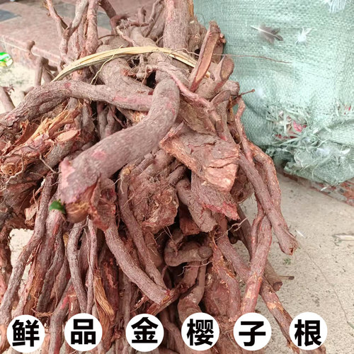 广西现挖新鲜金樱子根纯