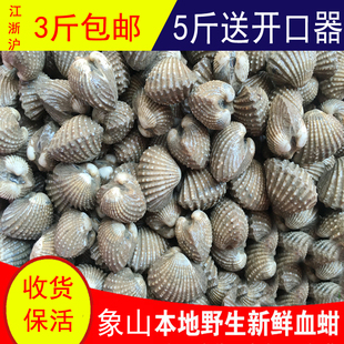 象山血蚶500g鲜活蛤蜊毛蛤银蛤刺身赤贝泥蚶毛蚶宁波石浦海鲜特产