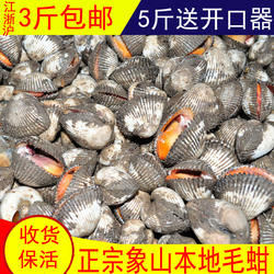 象山本地毛蚶500g鲜活蛤蜊石浦毛蛤泥蚶血蛤花蛤银蚶毛哈海鲜特产