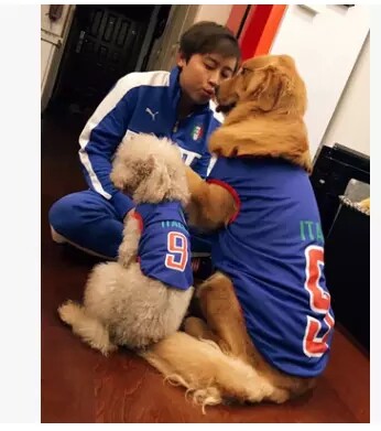 薄款金毛阿拉斯加中型犬猫咪背心
