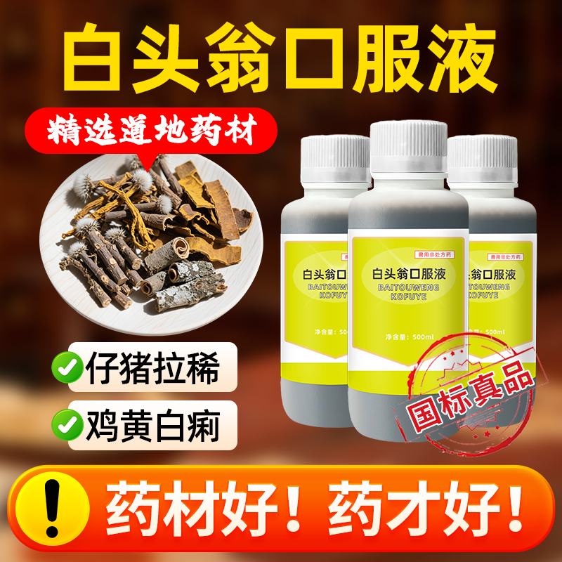 兽药白头翁口服液兽用猪牛羊鸡鸭鹅拉稀肠炎黄白痢腹泻清热解毒药