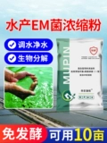 Композитные EM -бактерии концентрированные порошковые удобрения и вода для модификации дна остаточной приманки рыбы, креветки, крабового пруда Ponfrog Live Bacteria Aquaculture Aquaculture