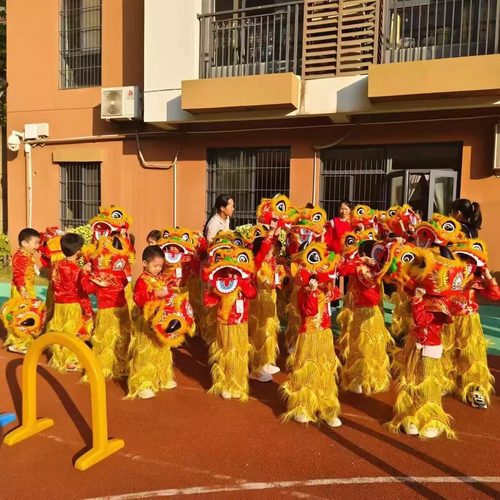 六一醒狮操表演服运动会鼓舞少年春节舞龙舞狮醒狮雄狮少年演出服