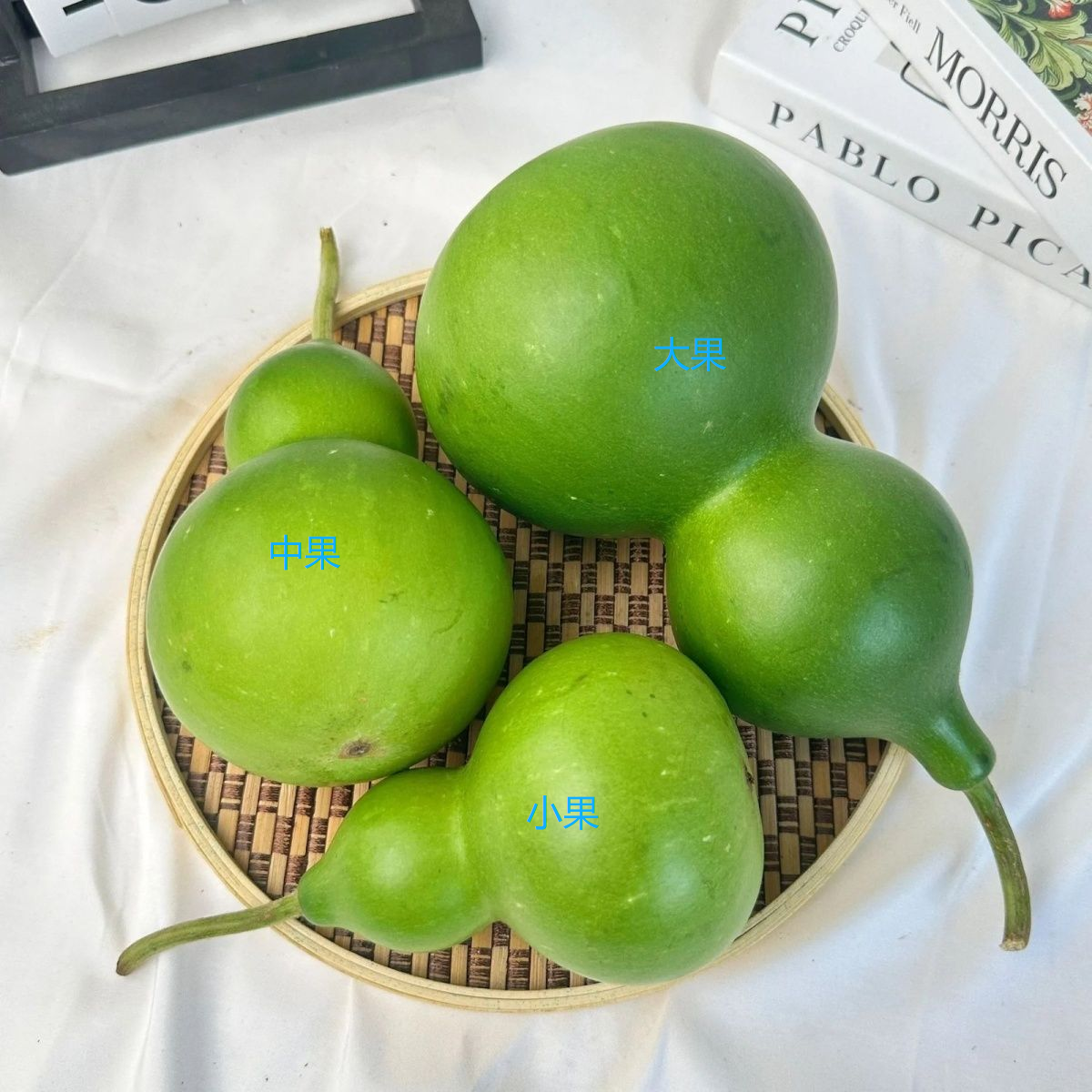 翡翠绿葫芦青皮葫芦文玩干花摆件观赏鲜切禅意佛台桌面纯天然现摘