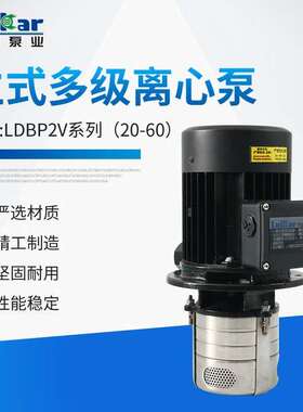立式浸入式油泵LDPB2V-20-30-40-50-60-70-80-90TP机床配套水泵