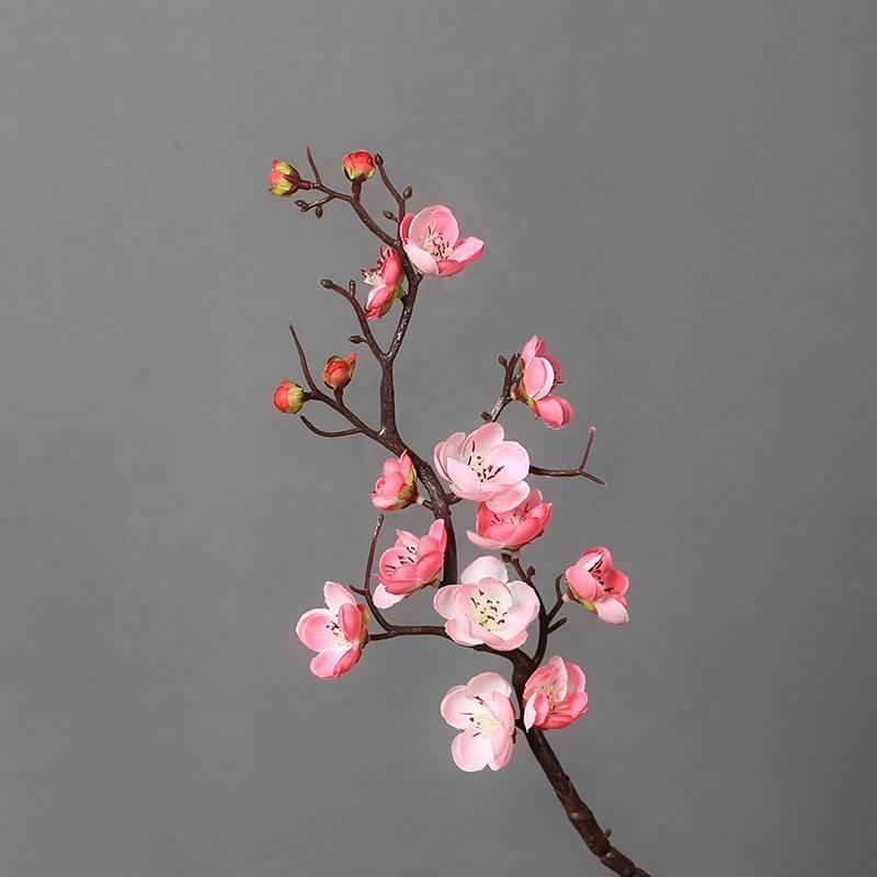 干花束花枝多少钱 干花束花枝优惠券免费领取 有条鱼