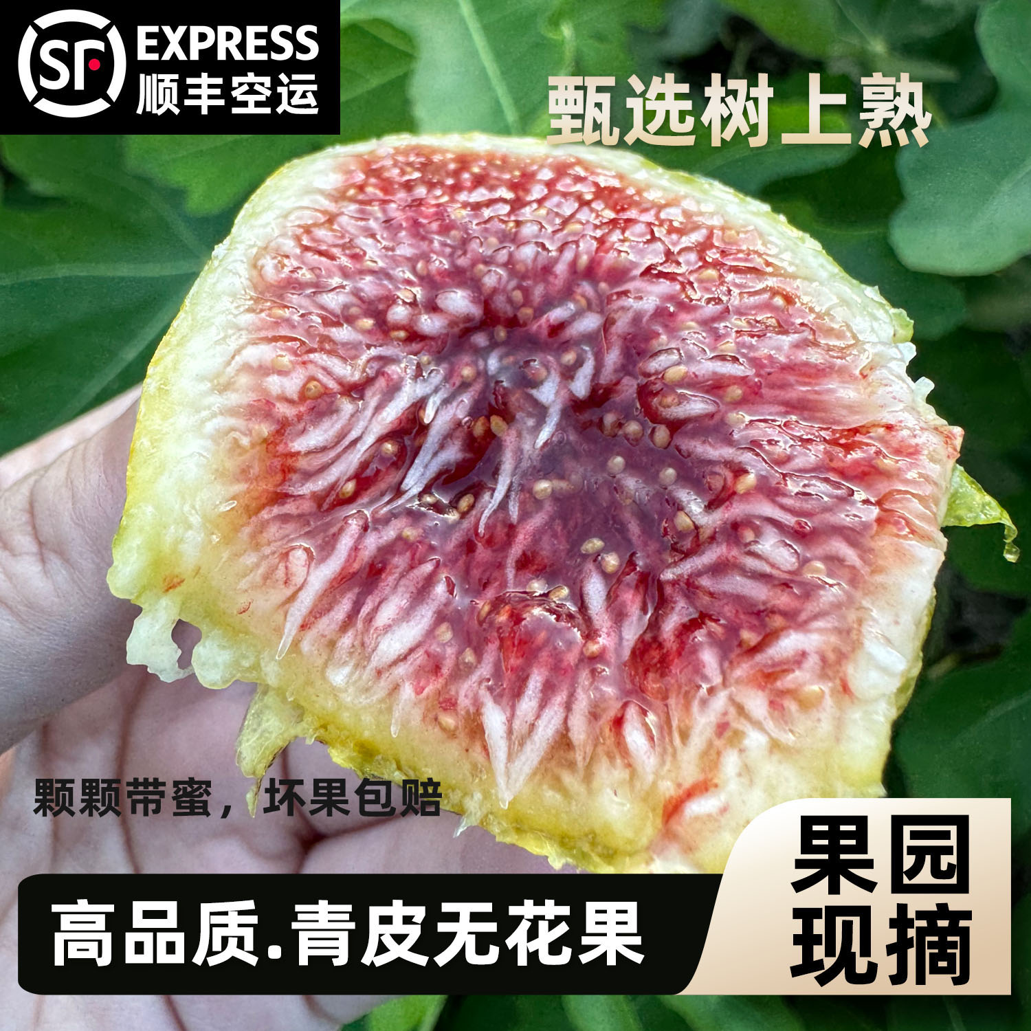 【顺丰空运】正宗树熟青皮无花果