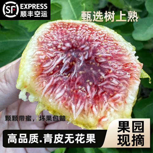 【顺丰空运】正宗树熟青皮无花果