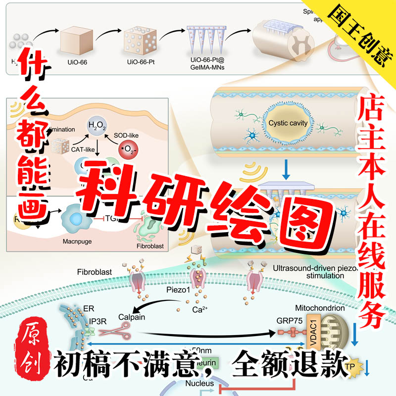 2D3D生物科学科研绘图SCI技术线路机制图制作示意图美化作业ps