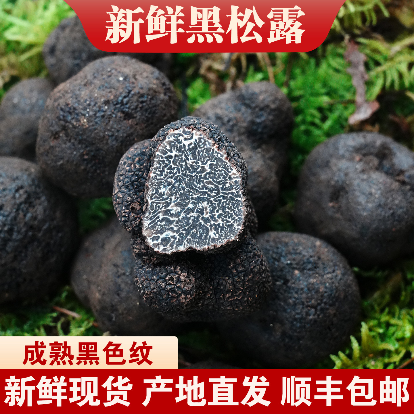 云南高黎贡山鲜采黑松露当季特产