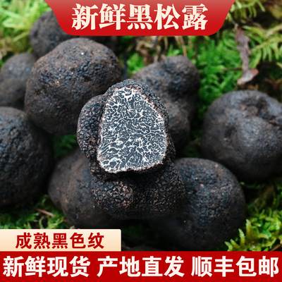 云南高黎贡山鲜采黑松露当季特产