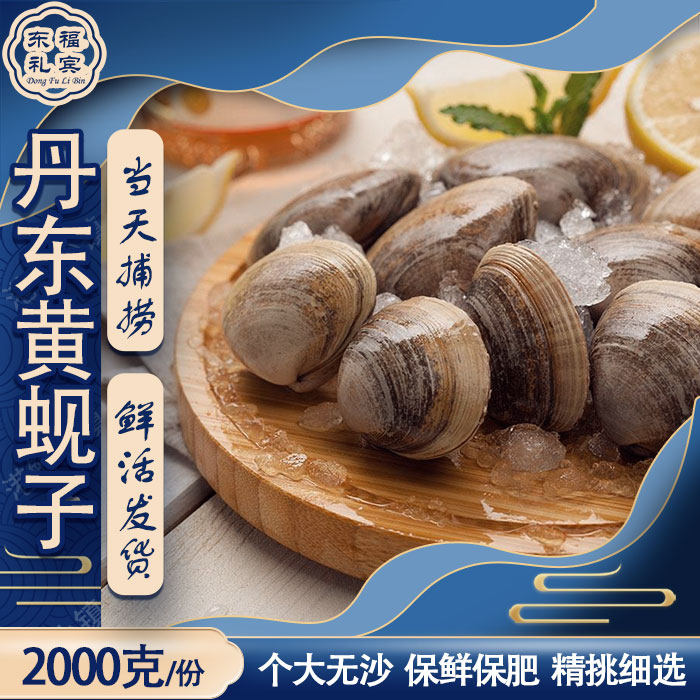 丹东特产黄蚬子野生文贝鲜活黄蚬子新鲜蛤蜊肥蛤大号顺丰包邮