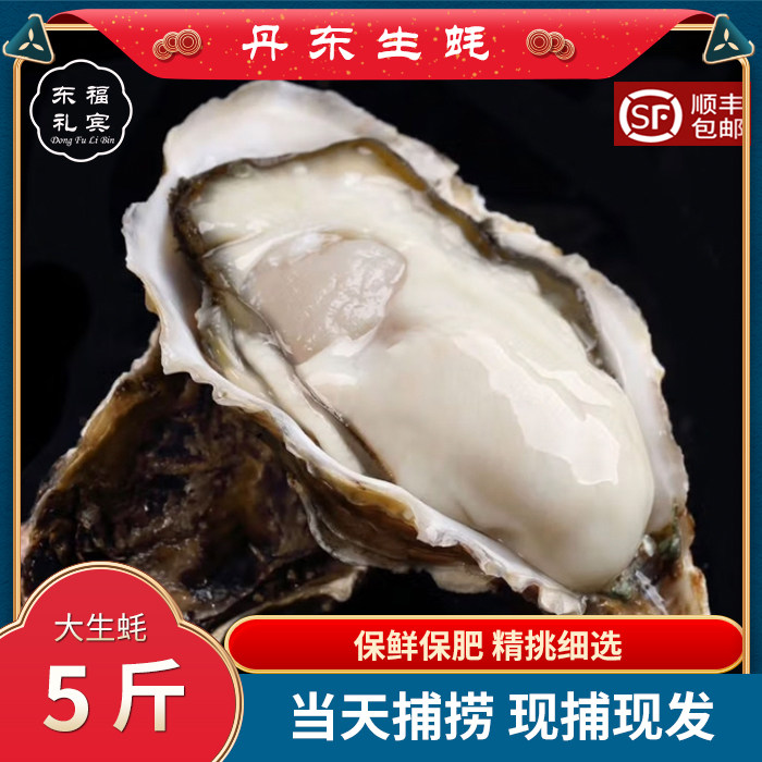 丹东生蚝乳山生蚝海蛎子牡蛎