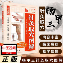 人体经络穴位图解书随身查科学出版 正版 全真彩图精准取穴取穴速查技巧速记歌诀刘乃刚编针灸书籍 杨甲三针灸取穴图解全新版 社 现货