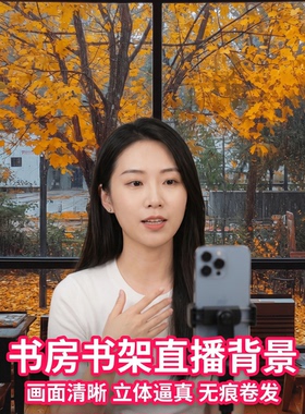 书房书架直播背景装饰画ins风室内拍摄无框可定制油画布