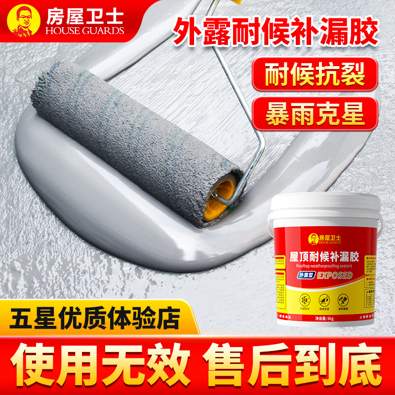 【全网高质量3仓速发】防水涂料