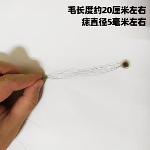 仿真痣美人痣影视特效化妆媒婆硅胶痦子瘊子演出万圣节脸部猴子