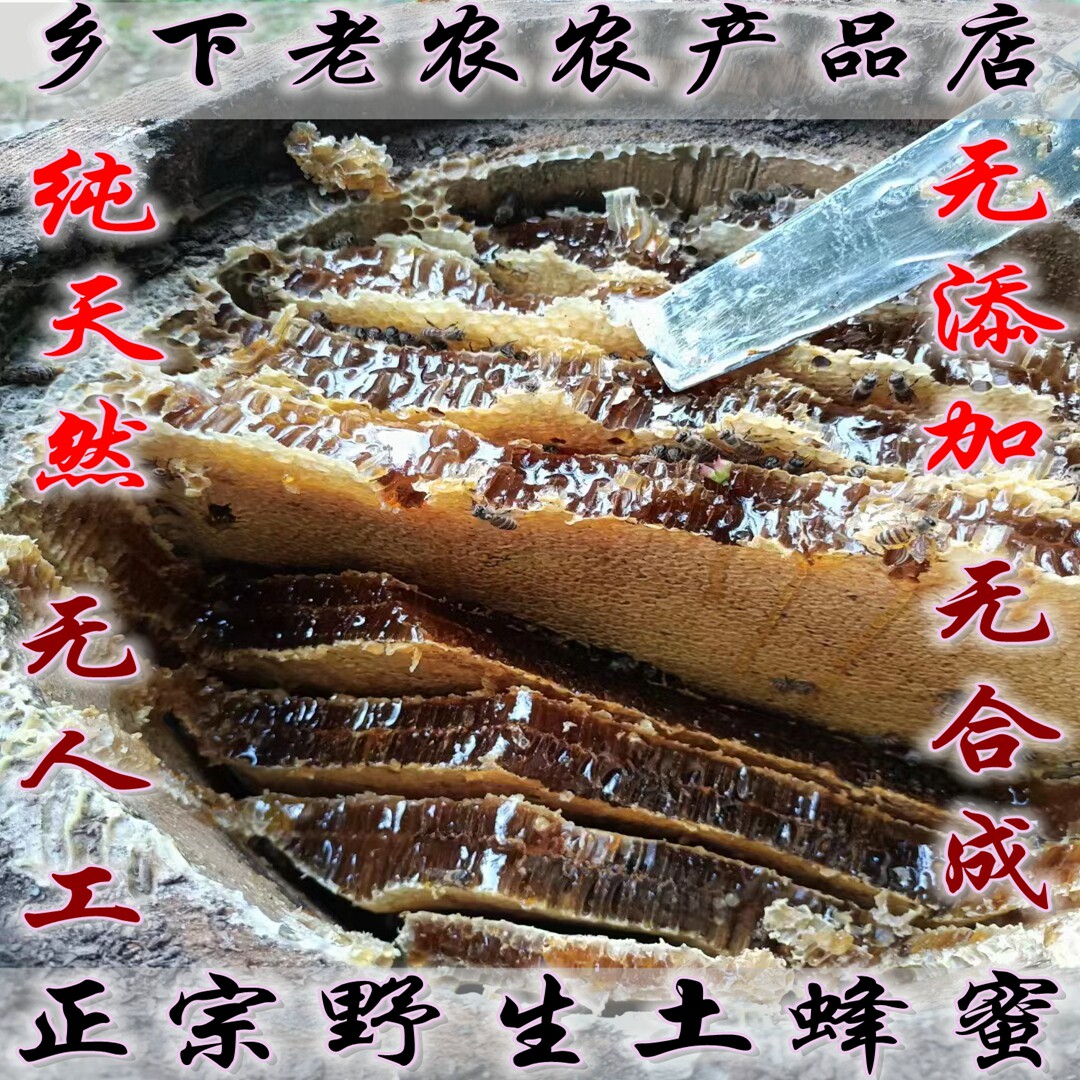 正宗野生土蜂蜜500g罐装纯天然原生态无添加【假一赔十】陈年老蜜