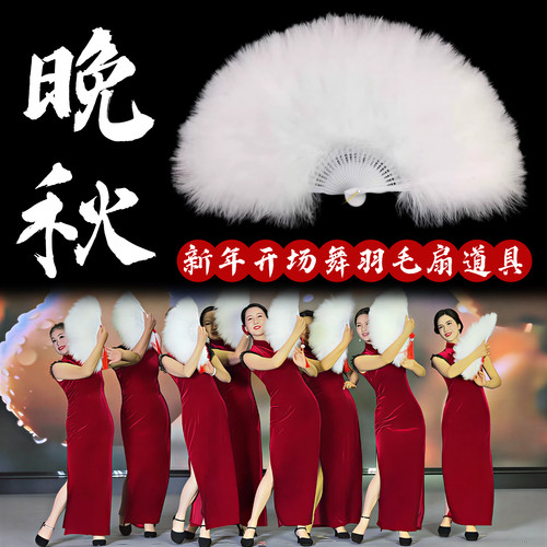 晚秋羽毛扇舞蹈道具白色古风手持