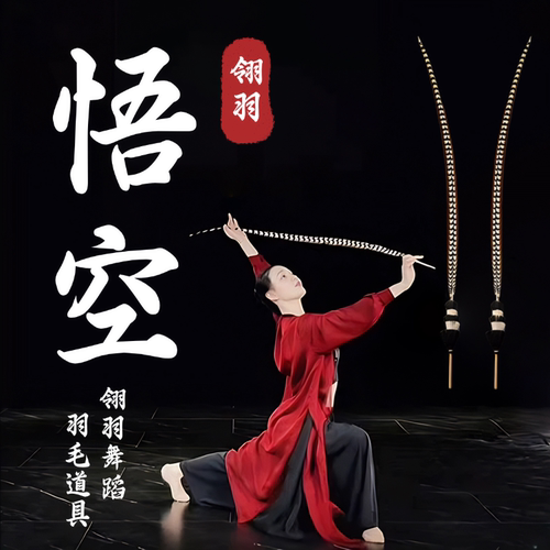 悟空翎子舞蹈道具春晚同款戏曲翎