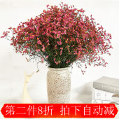云南真花勿忘我满天星水晶草风干干花花束家居摆设论斤卖装 饰摆件