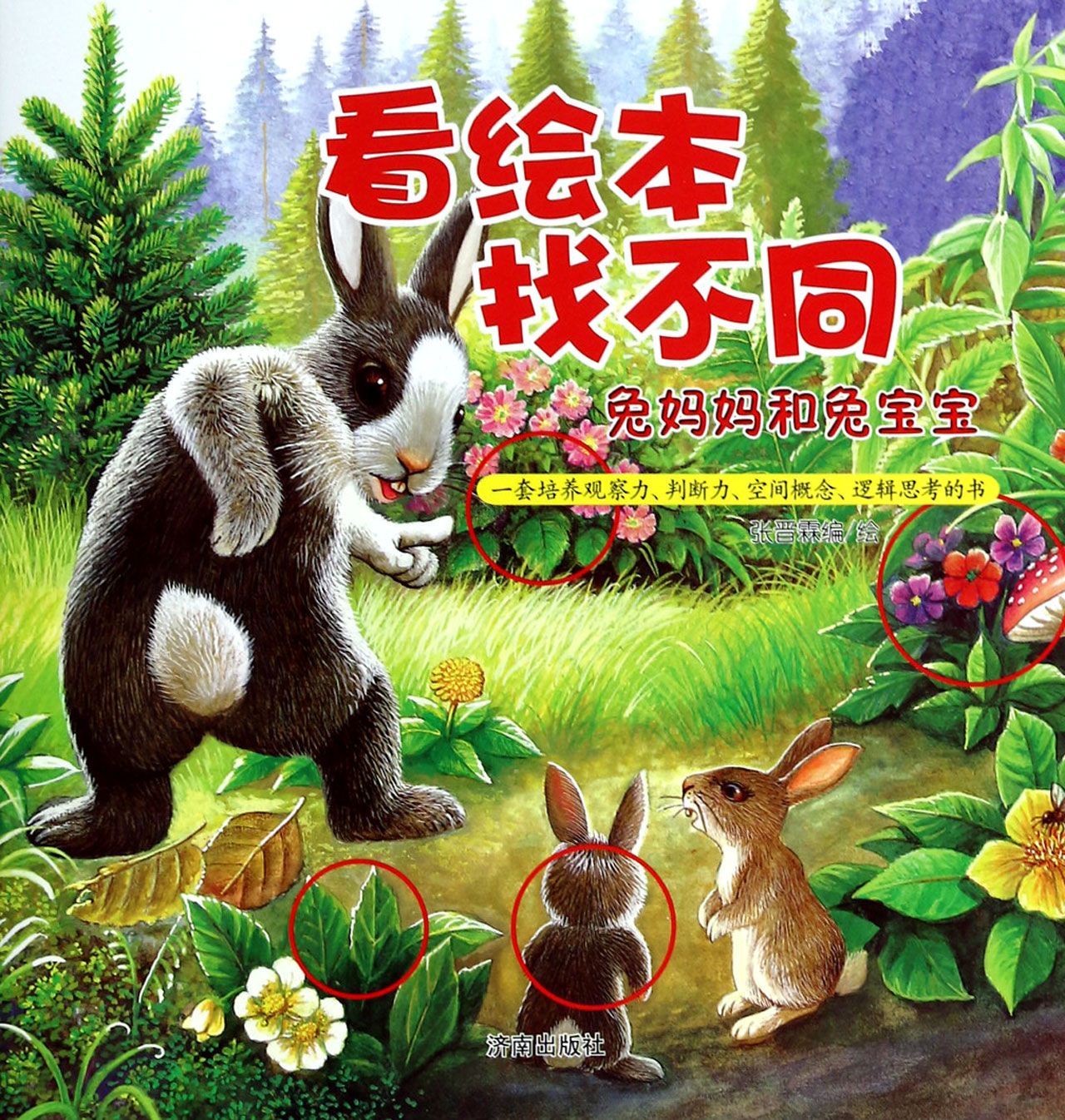 兔妈妈和兔宝宝/看绘本找不同