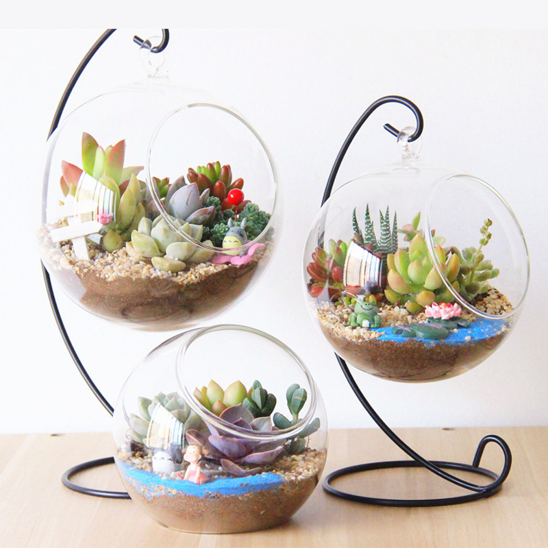 包邮 多肉植物创意微景观多肉组合盆栽肉肉拼盘套装diy礼物